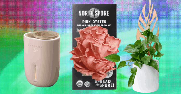 The201720Best20Gifts20for20Plant20Lovers.png