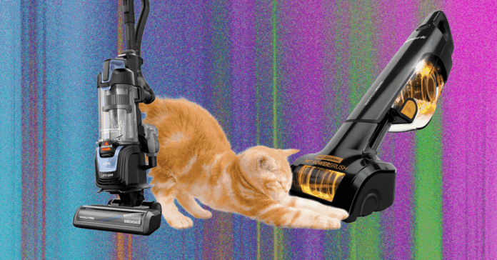 The20Best20Pet20Hair20Vacuums20We20Tried20at20Home.png