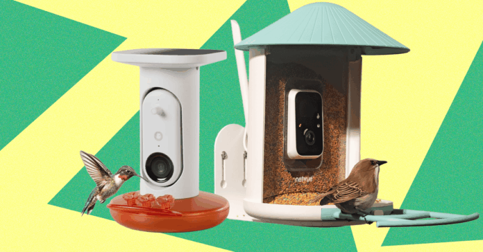 The20Best20Smart20Bird20Feeders20for20Backyard20Birding202.png
