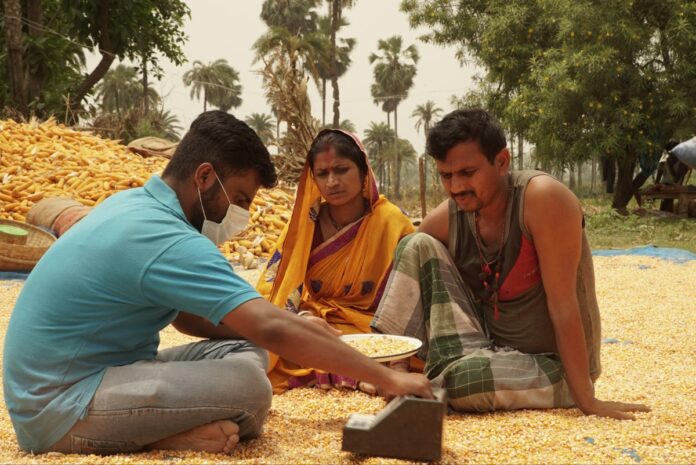 arya-ag-grain-collection-storage.jpg