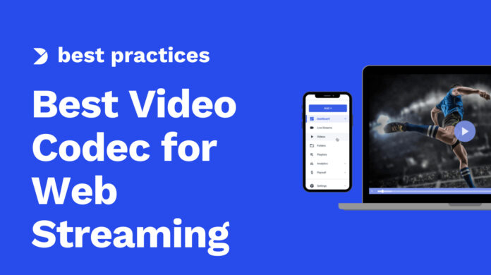 What-is-the-Best-Video-Codec-for-Web-Streaming_-2024-Update.jpg